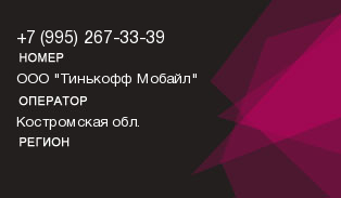 9952673339